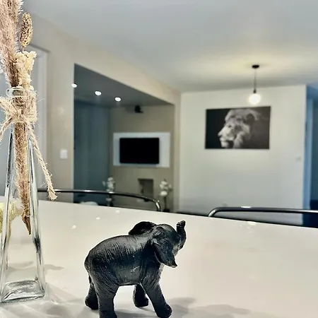Appartement L'elegant *